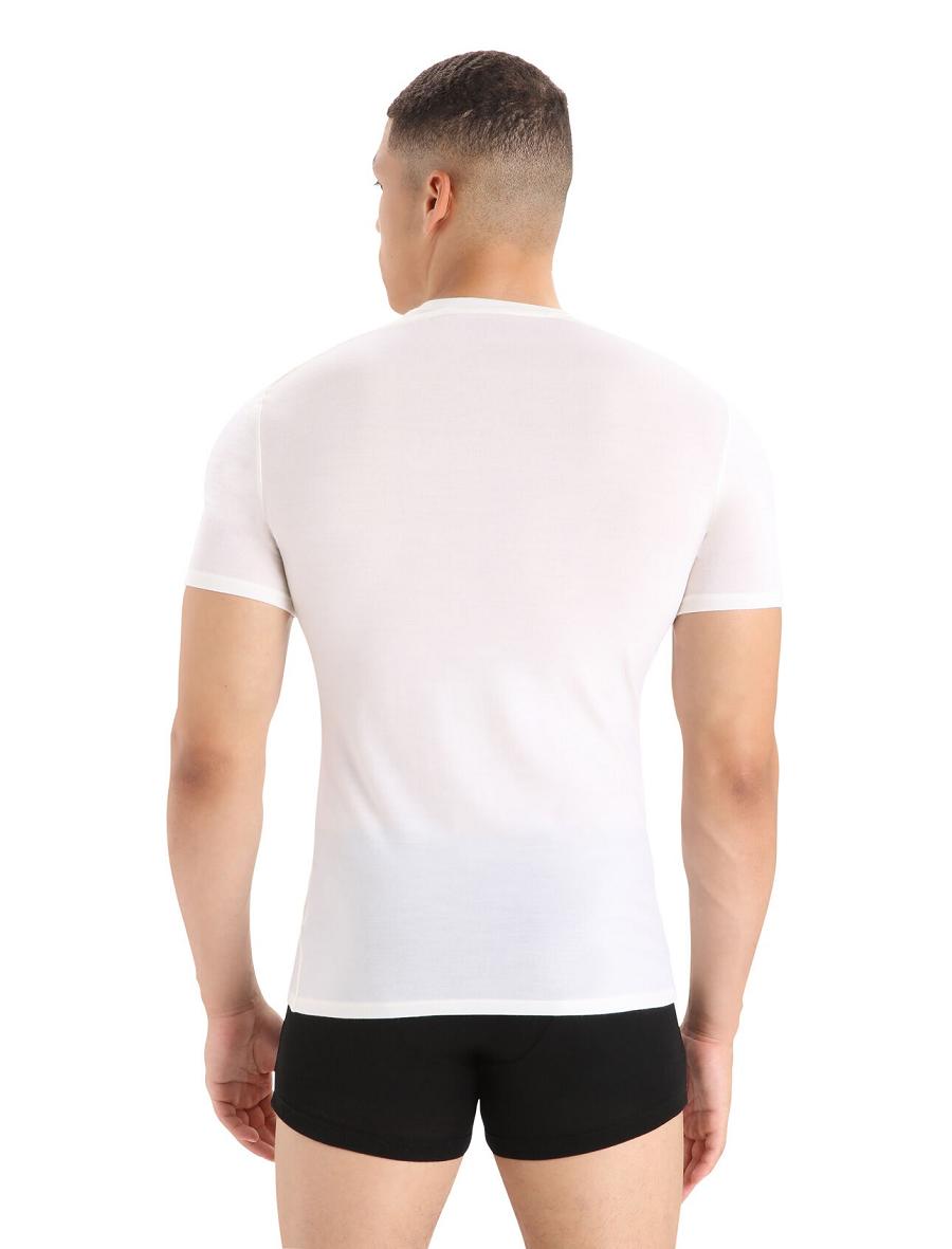 Snow Icebreaker Merino Anatomica Short Sleeve Crewe T-Shirt Men's Underwear | AU 1300HAPK